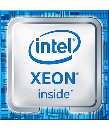 Intel Xeon Processor E5-2407 10M Cache, 2.20 GHz, 6.40 GT/s Intel® QPI